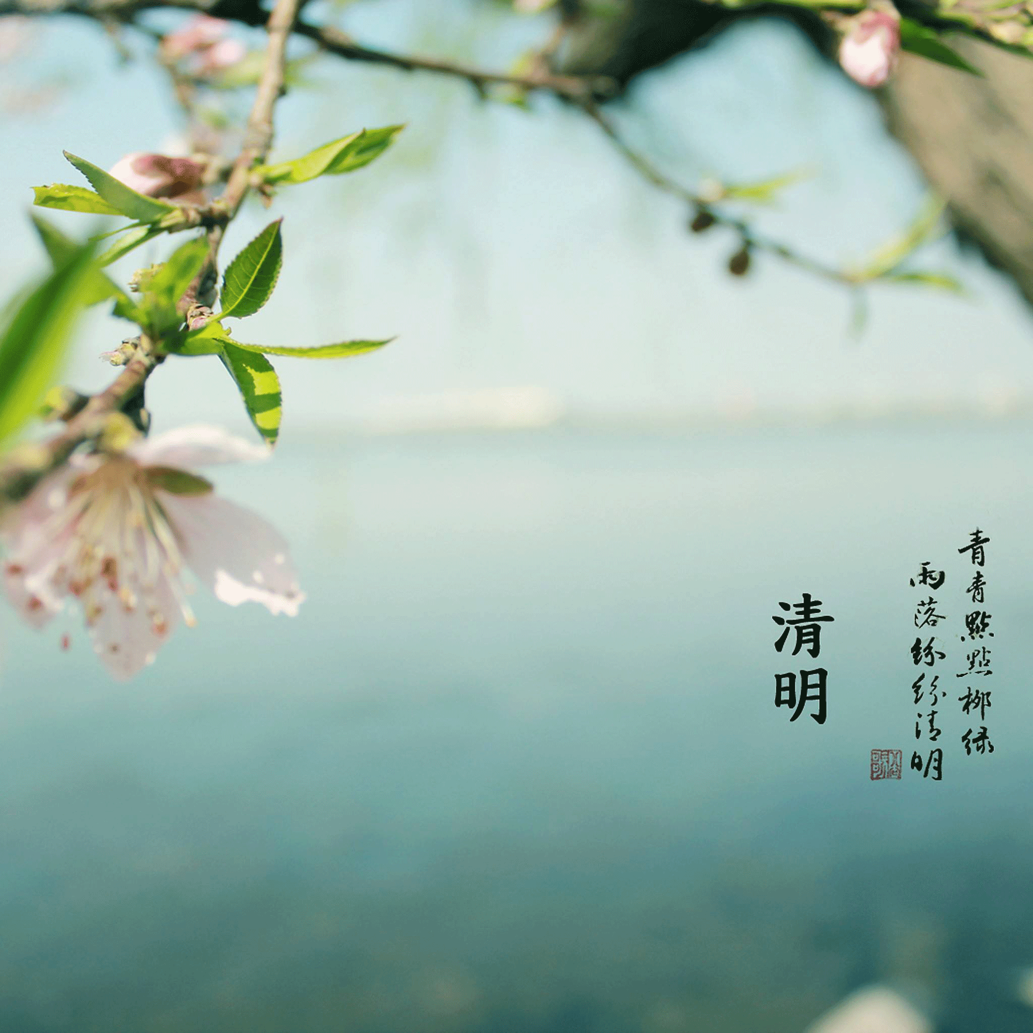 清明全攻略，?洛陽(yáng)遠(yuǎn)見(jiàn)祝您小長(zhǎng)假愉快！